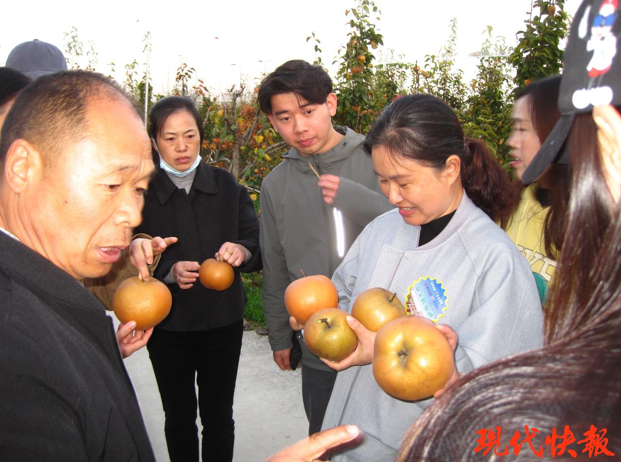 亭想桃梨有机种植清甜入脾