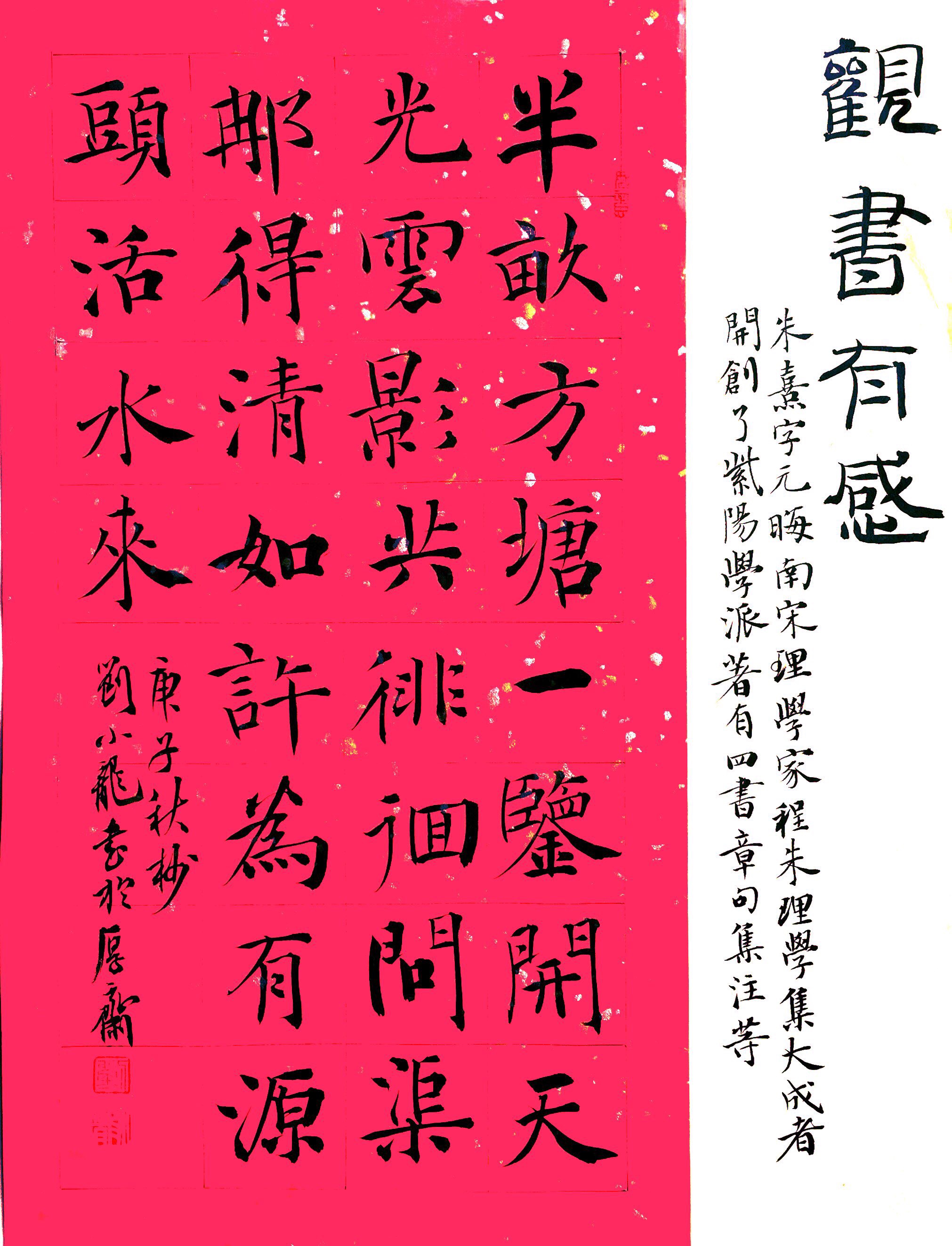每周一星——刘小龙-现代快报网