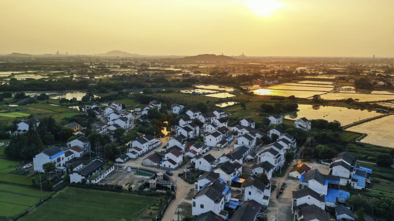 宜兴新建:党员包户赋能乡村文明-现代快报网