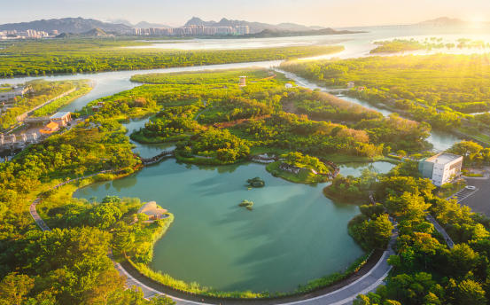 大成雅境2021年度收官!请抓住这个置业机会!-现代快报网