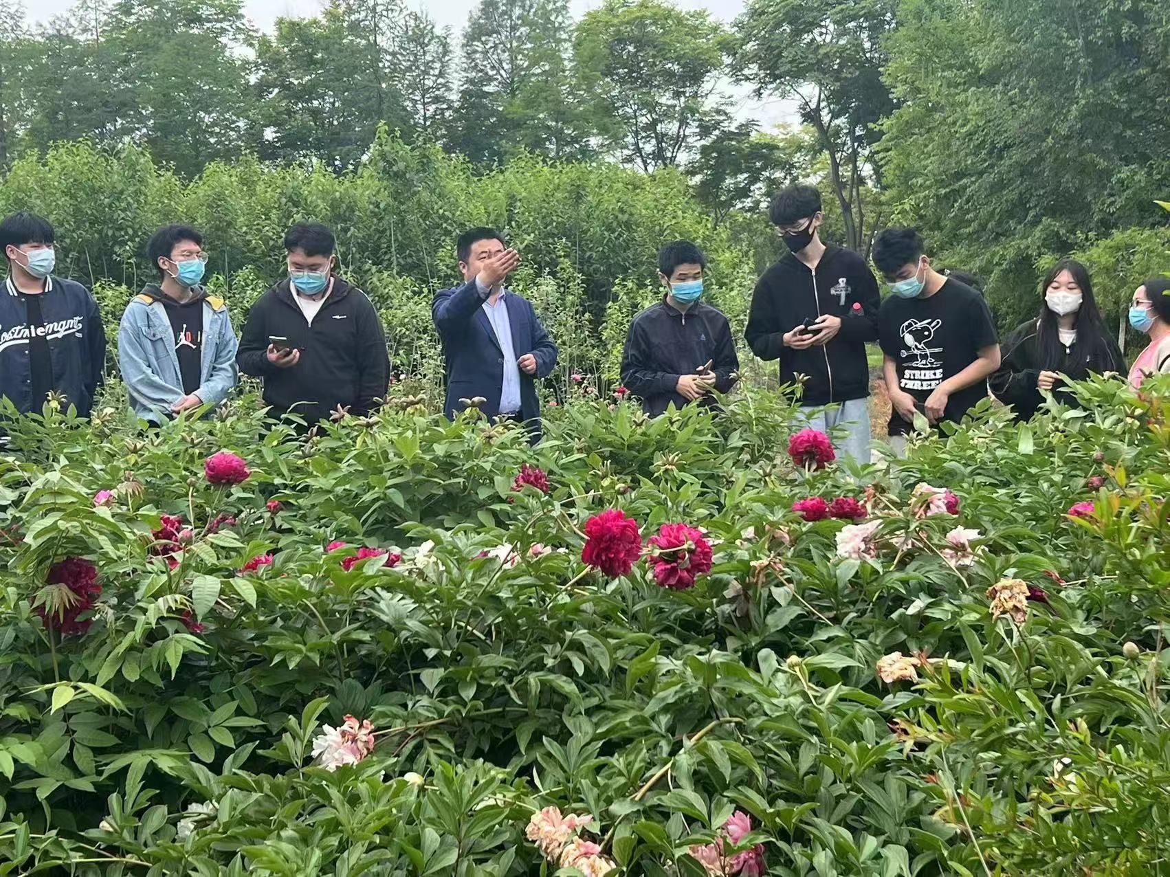 让 五月花神 开得更娇艳 高校教授传授种植经验 现代快报网