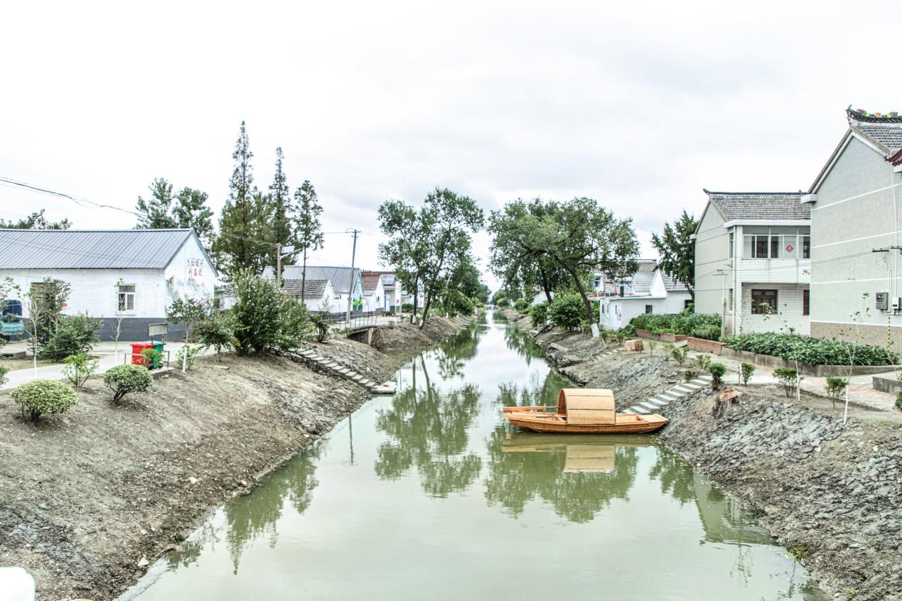 亭湖区新兴镇荣获2022中国最美村镇乡村振兴榜样奖