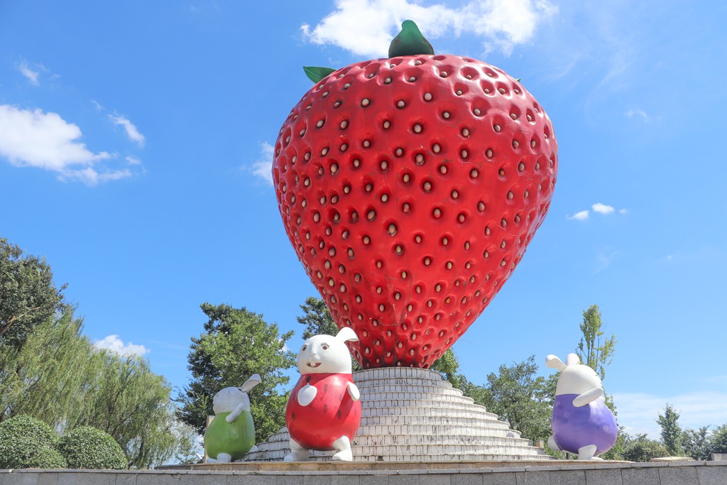 67兔游句容草莓献瑞新春农旅大餐端上来