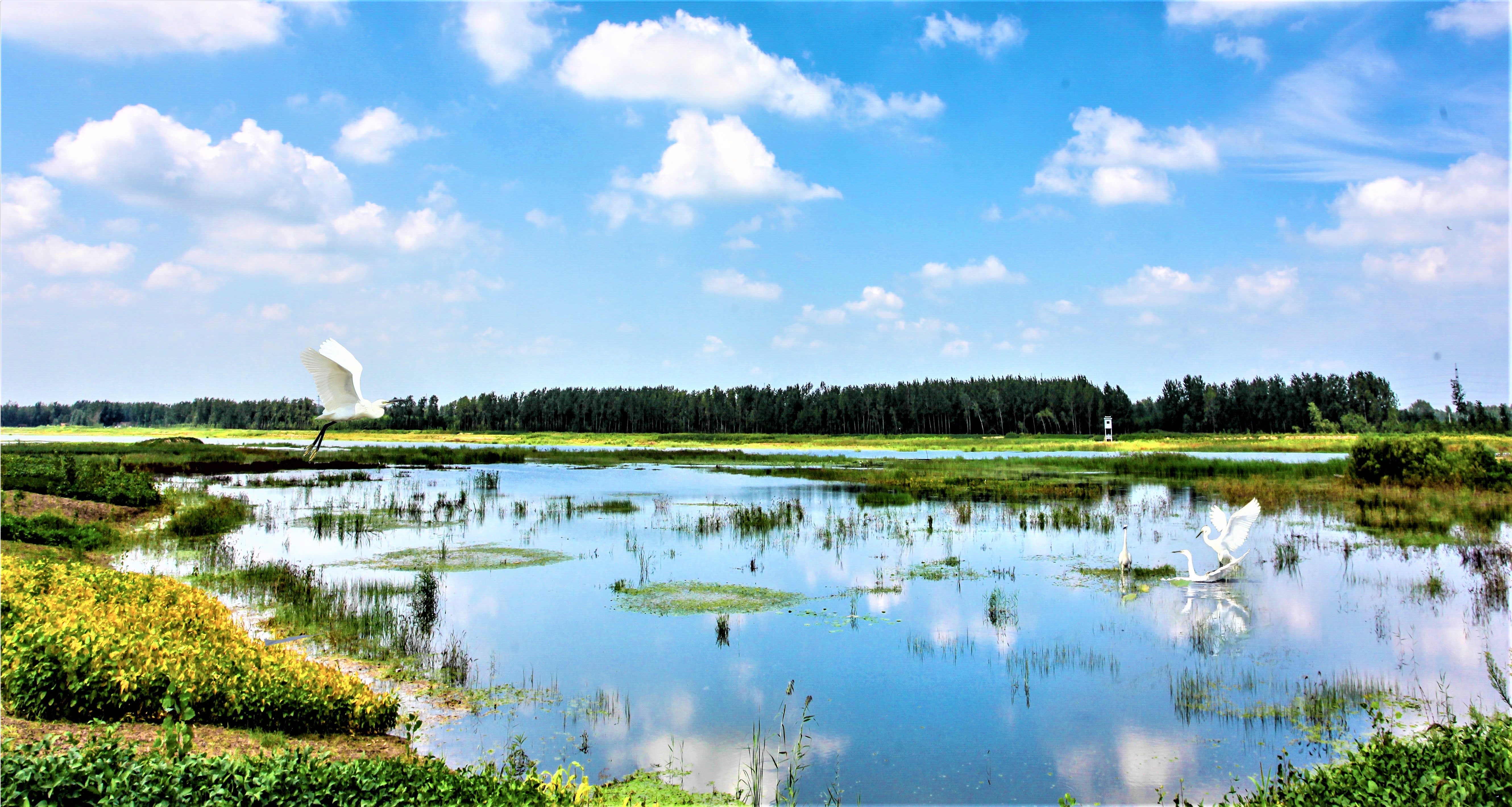 房湾湿地生态美 顾士刚 摄睢宁县地处江苏省西北部,位于"一带一路"