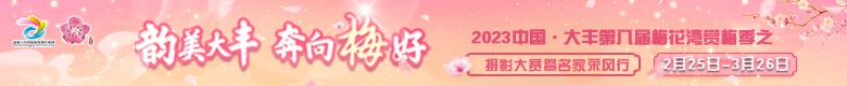 网条