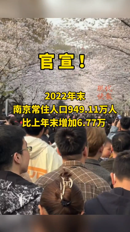 南京常住人口_2022年末南京常住人口949.11万人(2)