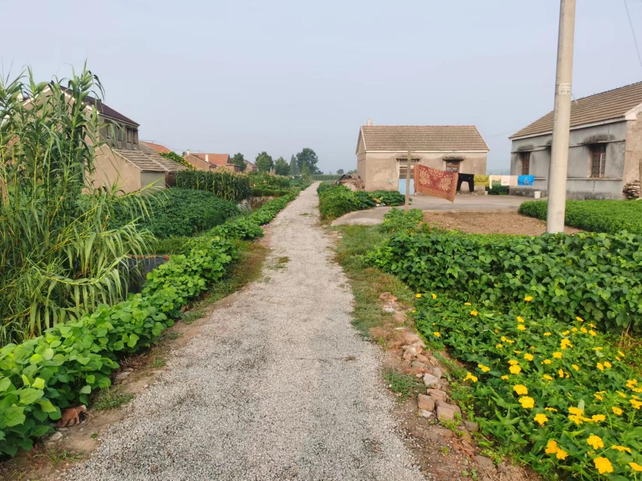 射阳县兴桥镇人大代表办实事为民修路暖人心