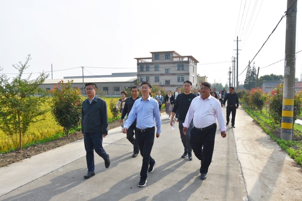 兴化戴南镇文明创建现场会坚持问题导向