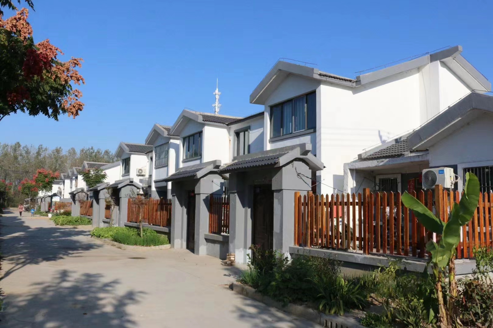 阜宁县芦蒲镇:用实效实绩交出高质量发展新答卷-现代快报网