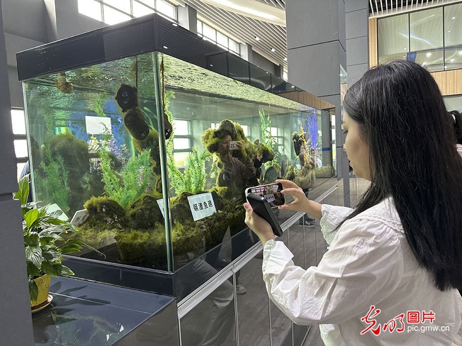 【高质量发展看中国】“绿色花园工厂”领跑低碳高质量发展