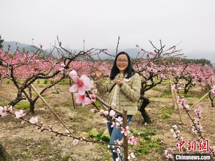 胡玉丹在桃林拍照。　周蔚娜 摄