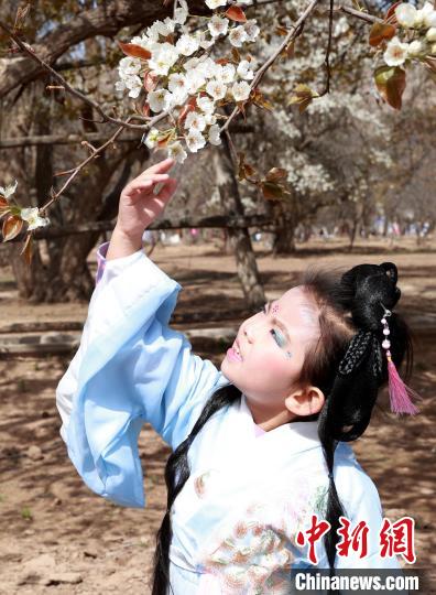 4月7日，小朋友在南长滩村赏梨花。　于晶 摄