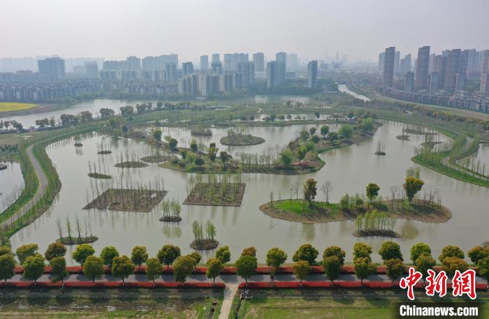 图为：灵粮农场内保留的湿地景观。　王刚 摄