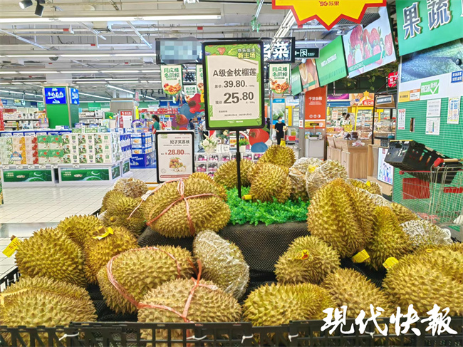 热带水果新风尚：芒果批发引领健康潮流