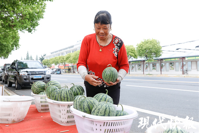 第二十二届中国·南京江宁横溪西瓜节来啦 -现代快报网