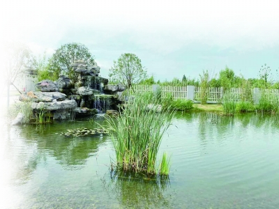 博瑞德环境集团污水处理厂尾水生物指示池。