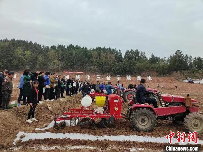 四川丘陵地区农机化播种。　四川省农科院供图