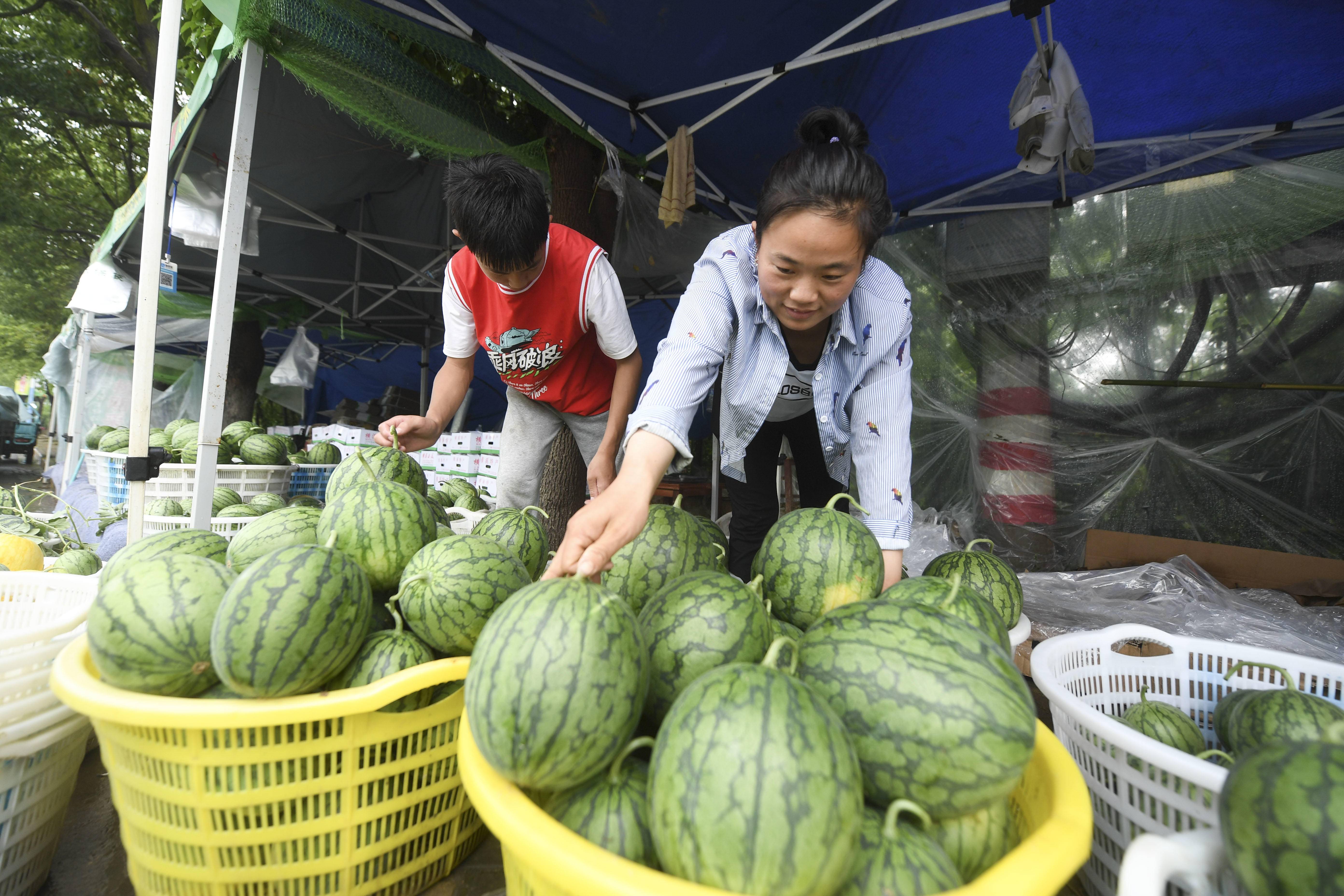 南京日报/紫金山新闻记者 冯芃 摄