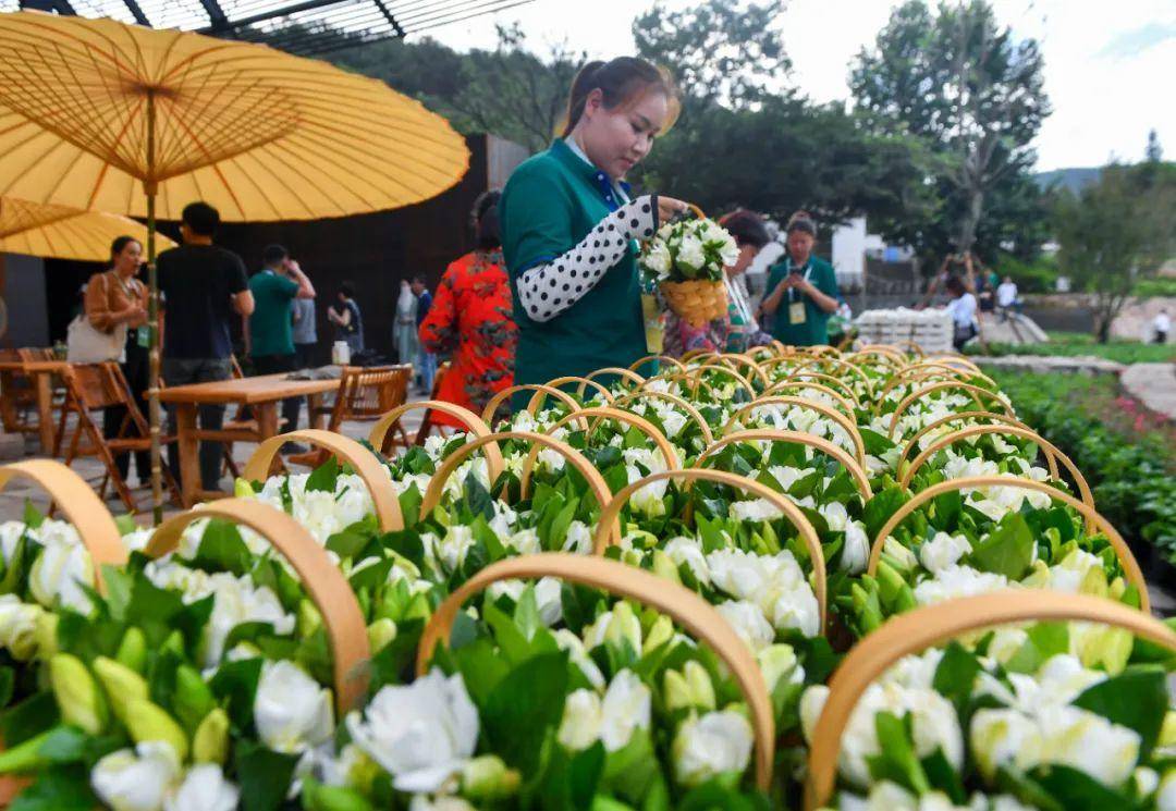 6月21日，2023响堂栀子花大会开幕，吸引众多市民来此游玩、赏花。南京日报/紫金山新闻记者 孙中元 摄