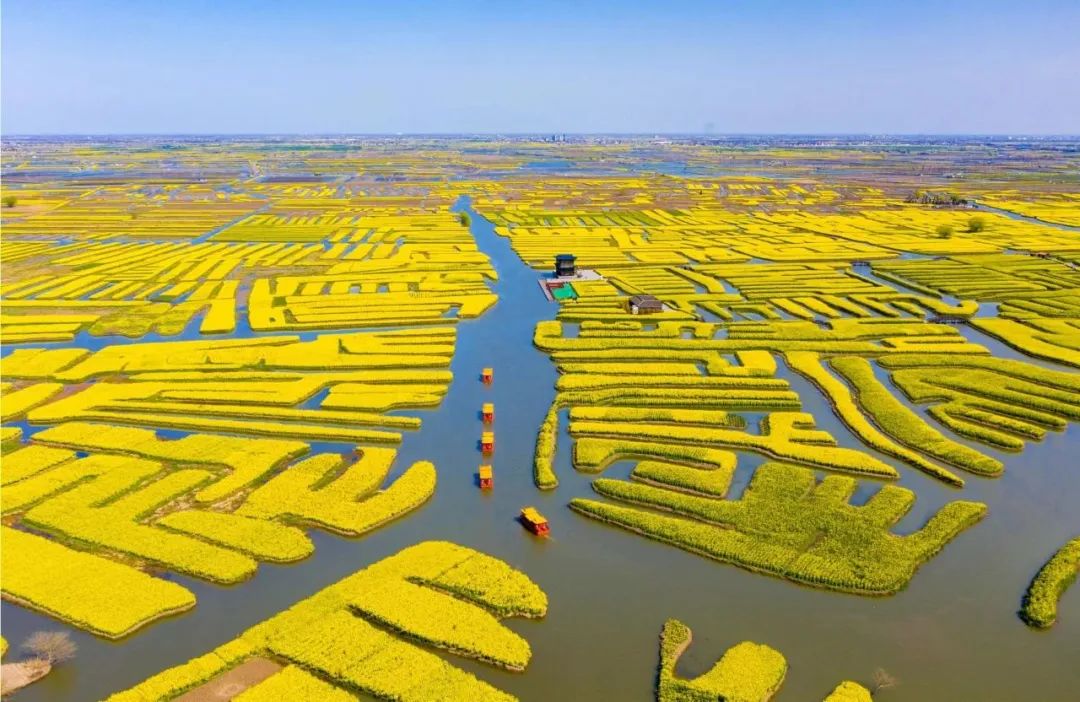 央视节目《山水间的家》走进兴化垛田,感受里下河地区的人间烟火气
