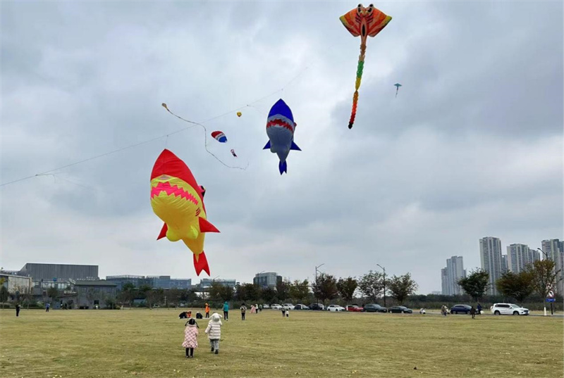 南京市民风筝会在水木秦淮江北新区举行