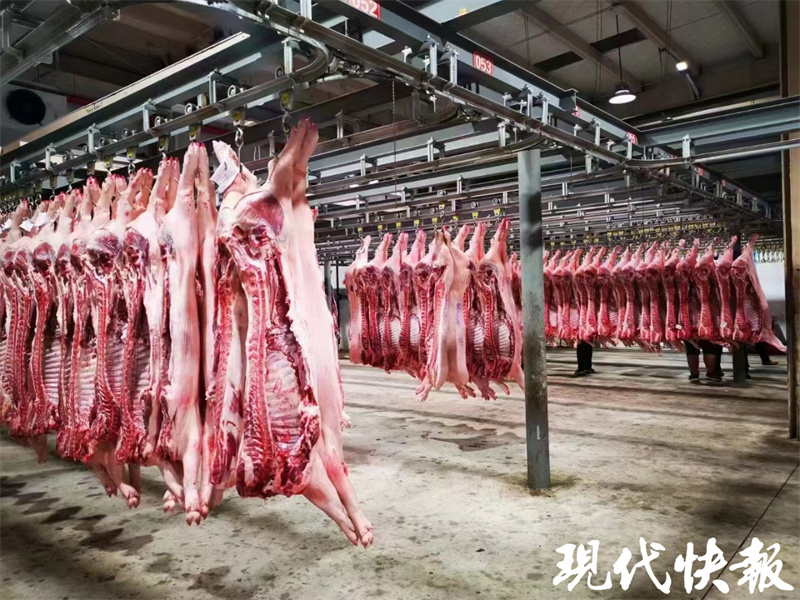 白条肉批发