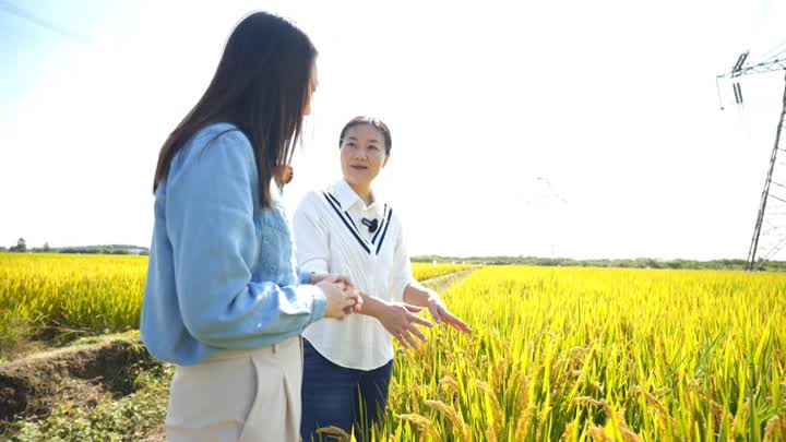 探访新农人魏巧：科技加持 未来农业大有可为6.jpg