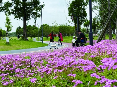 人们在姚坊门遗址公园绿道享受慢生活。南京日报/紫金山新闻记者 何钢 摄