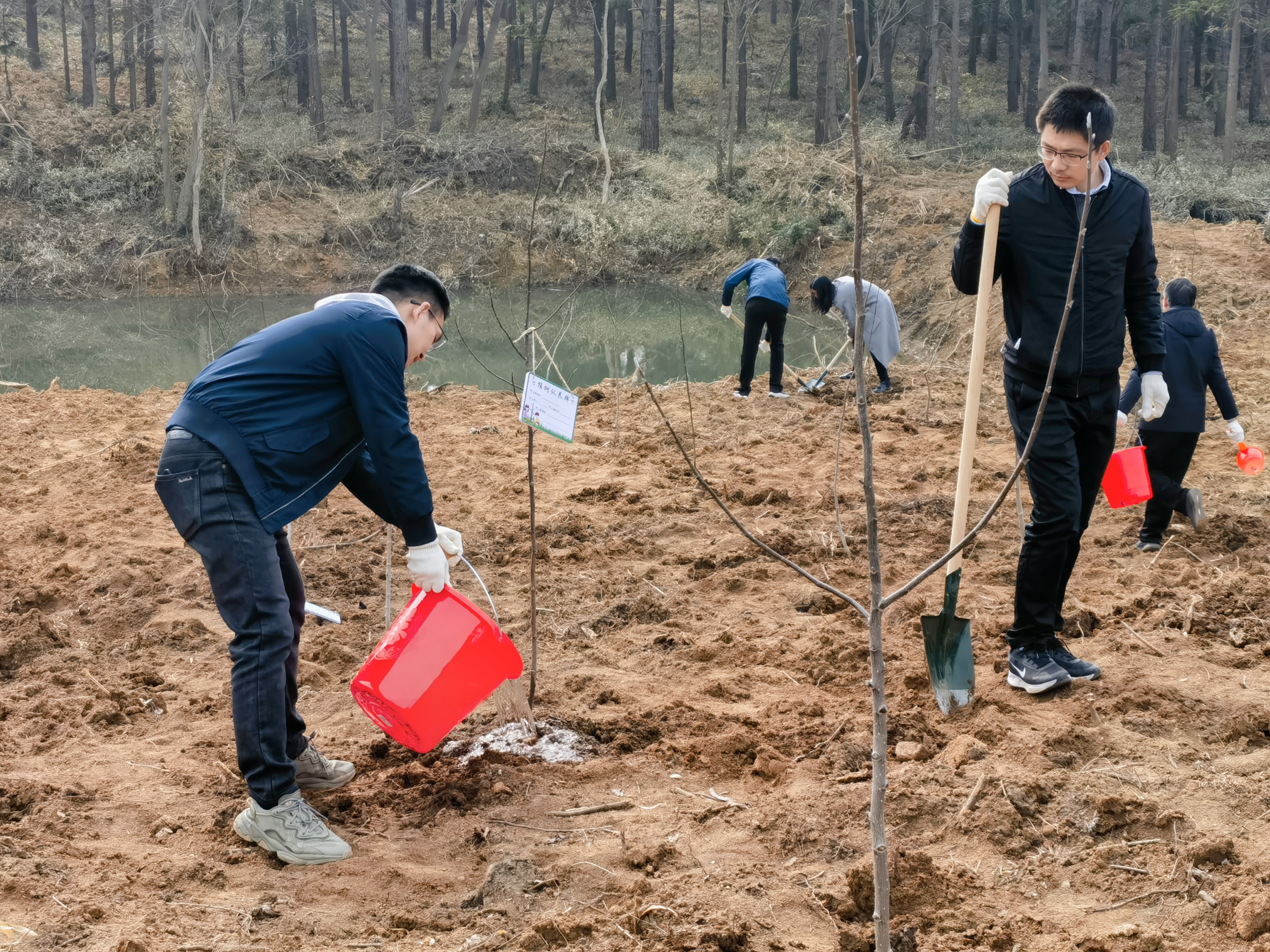江苏省级机关开展义务植树活动700多人共栽种3000株新苗