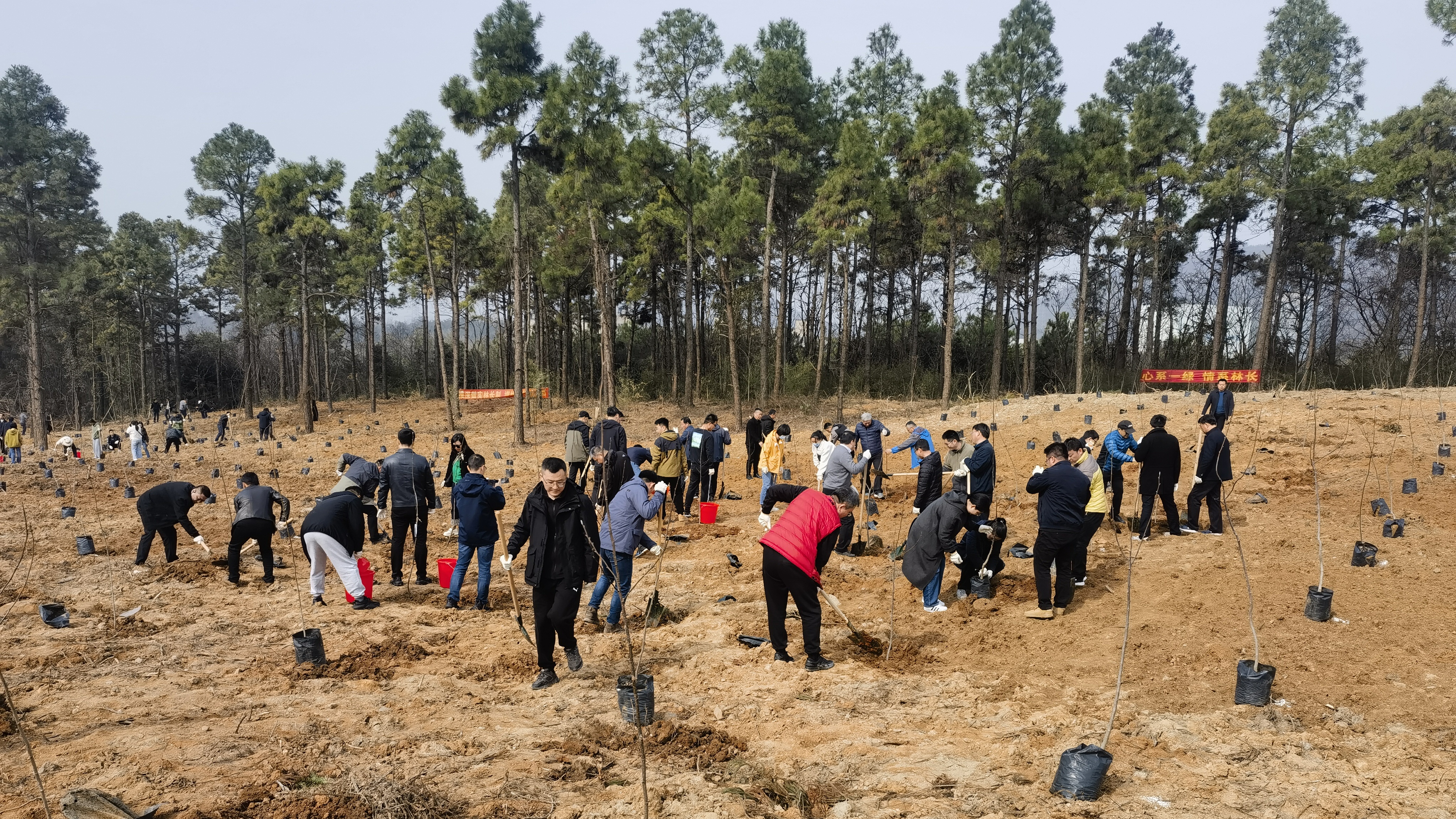 三江源生态保护基金会：守护绿水青山的行动者