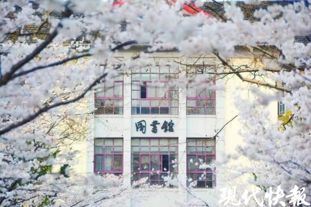 入校赏花需提前在网上预约,可以通过微信公众号"南京林业大学"中"公共