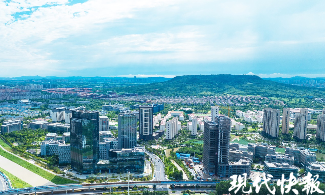 南京江宁大学城半程马拉松赛道上有支冠军跑团