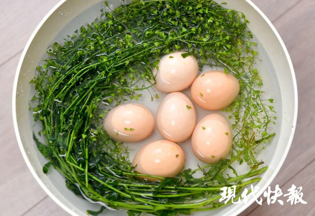 荠菜煮鸡蛋简笔画图片