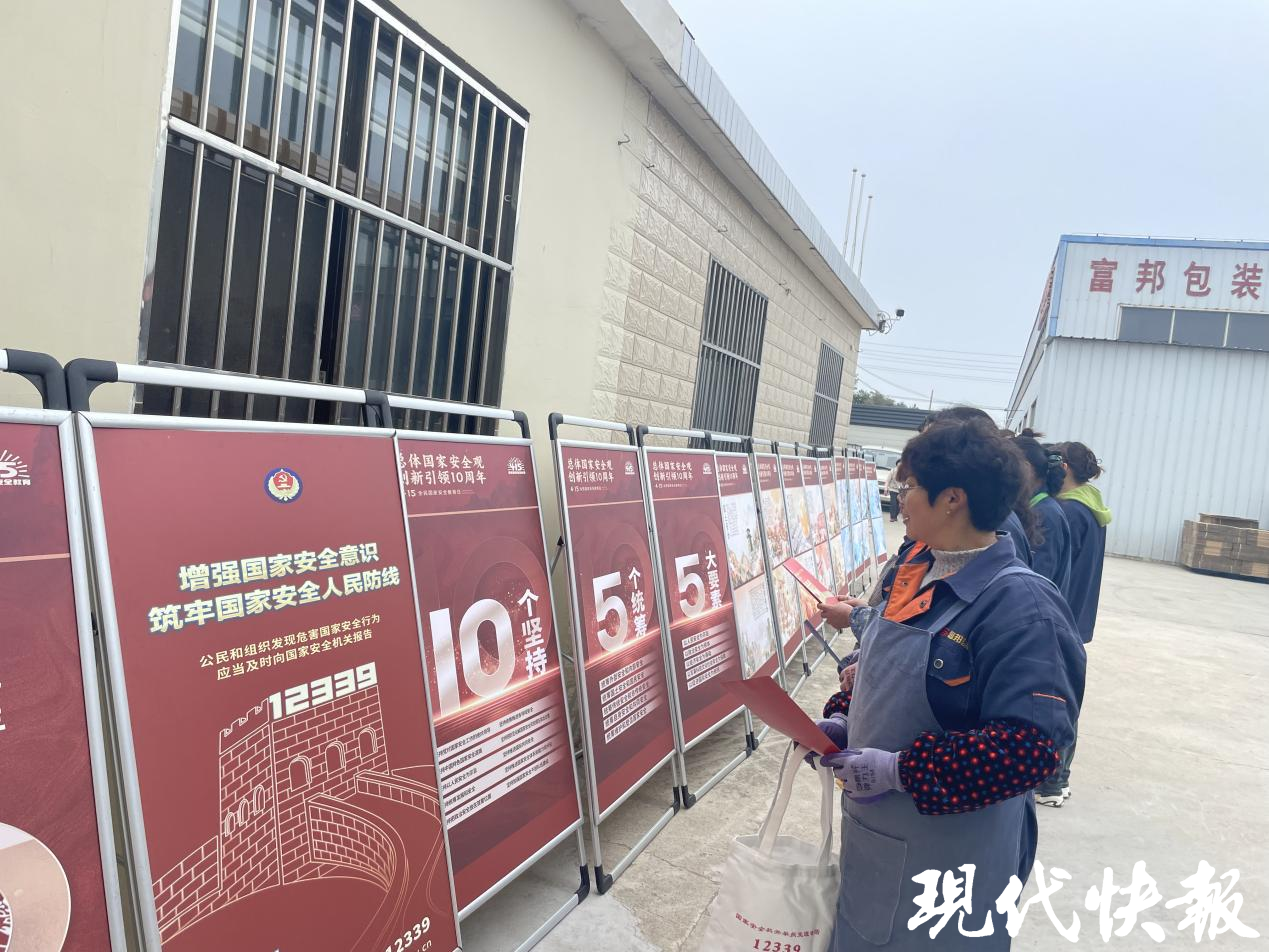 大丰区三龙镇人大国家安全教育日人大代表在行动