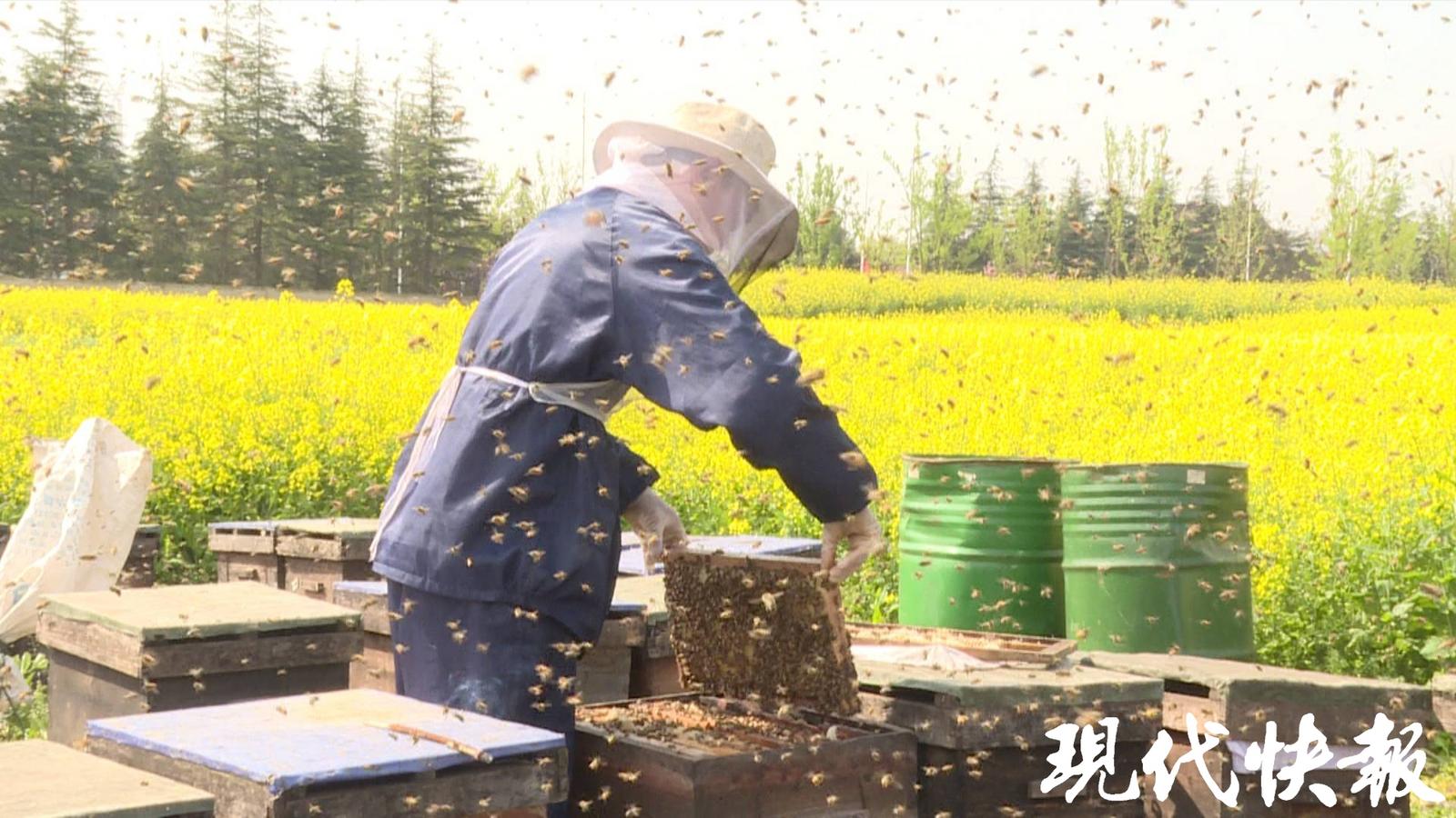 美国现代养蜂设备图片