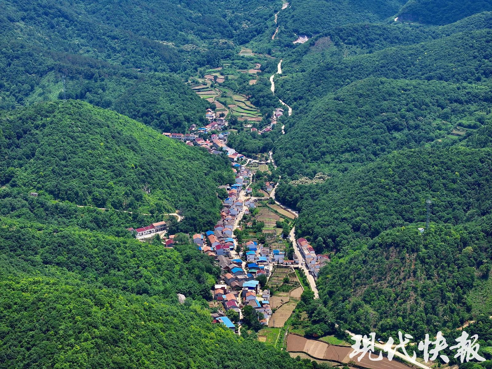 湖北孝昌精神障碍患者砍人案:嫌疑人平时基本不出门