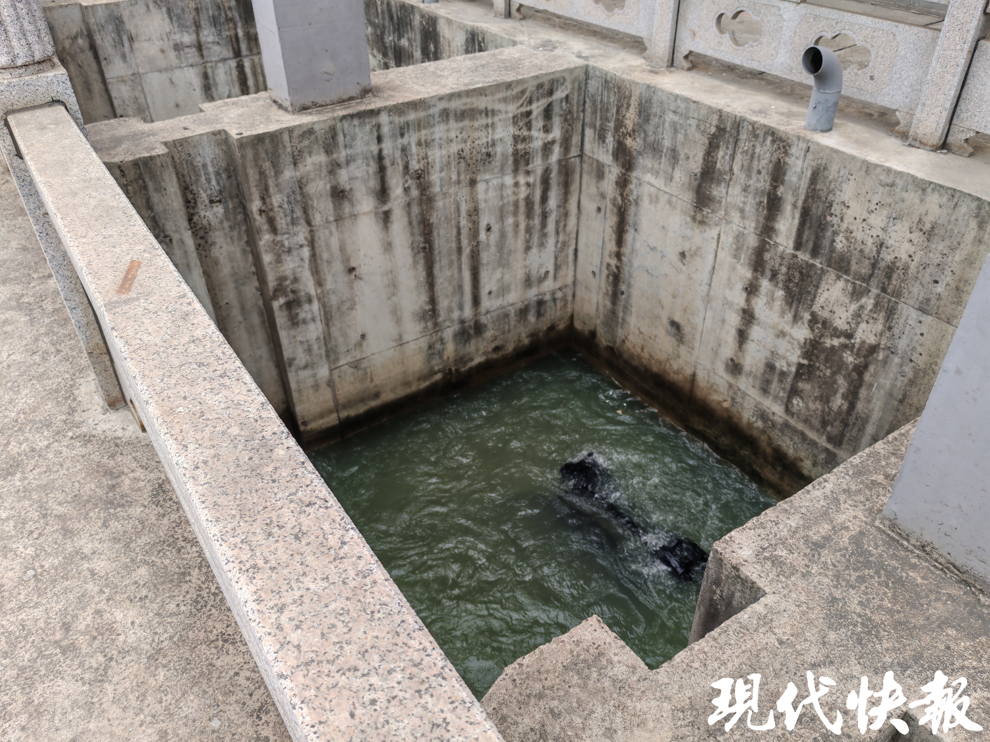 徐州抗旱形势较严峻,水务系统全力翻水调水保灌溉
