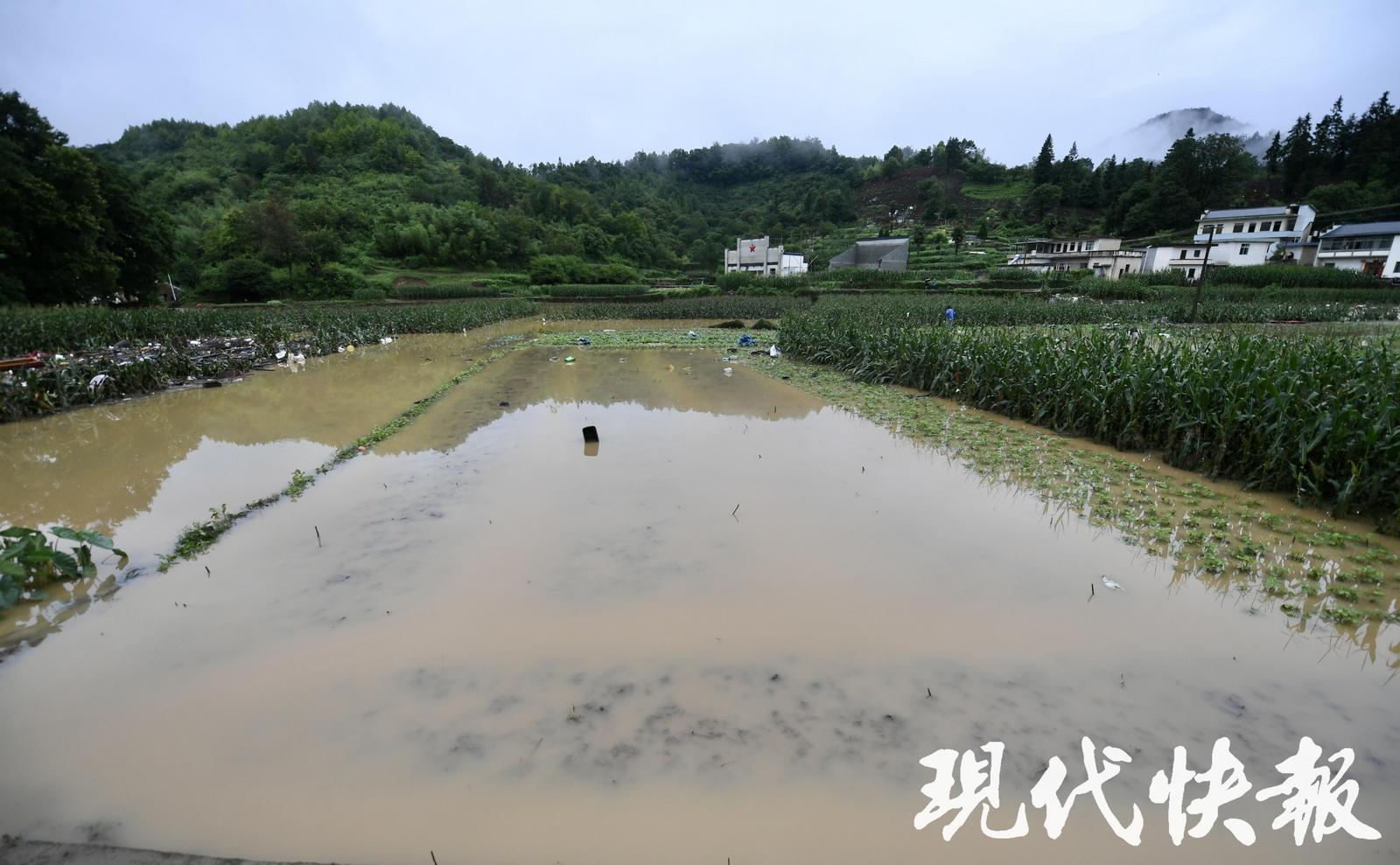 安徽歙县洪水图片