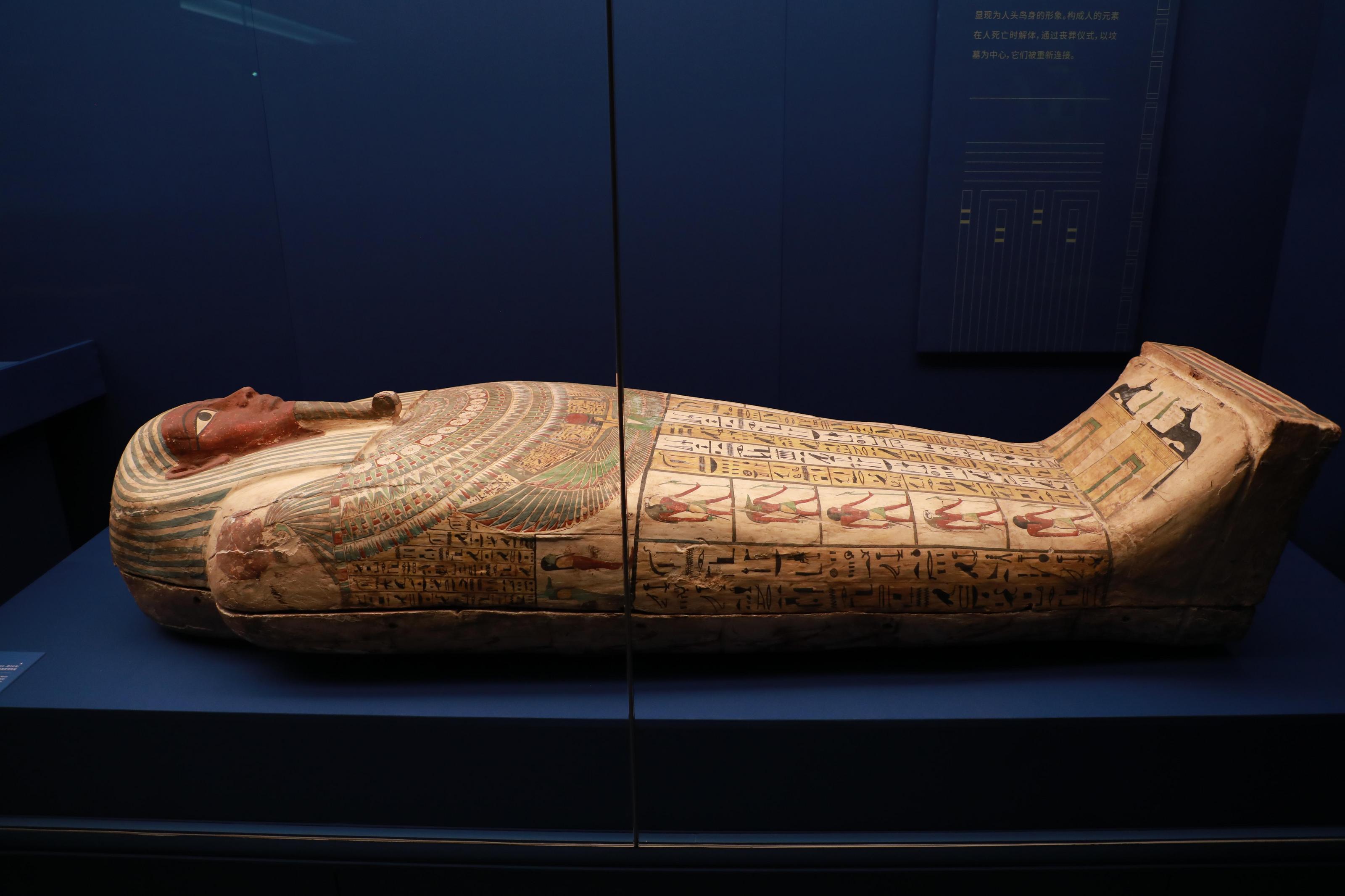 全球仅此一站!788件天花板级古埃及文物亮相上海博物馆