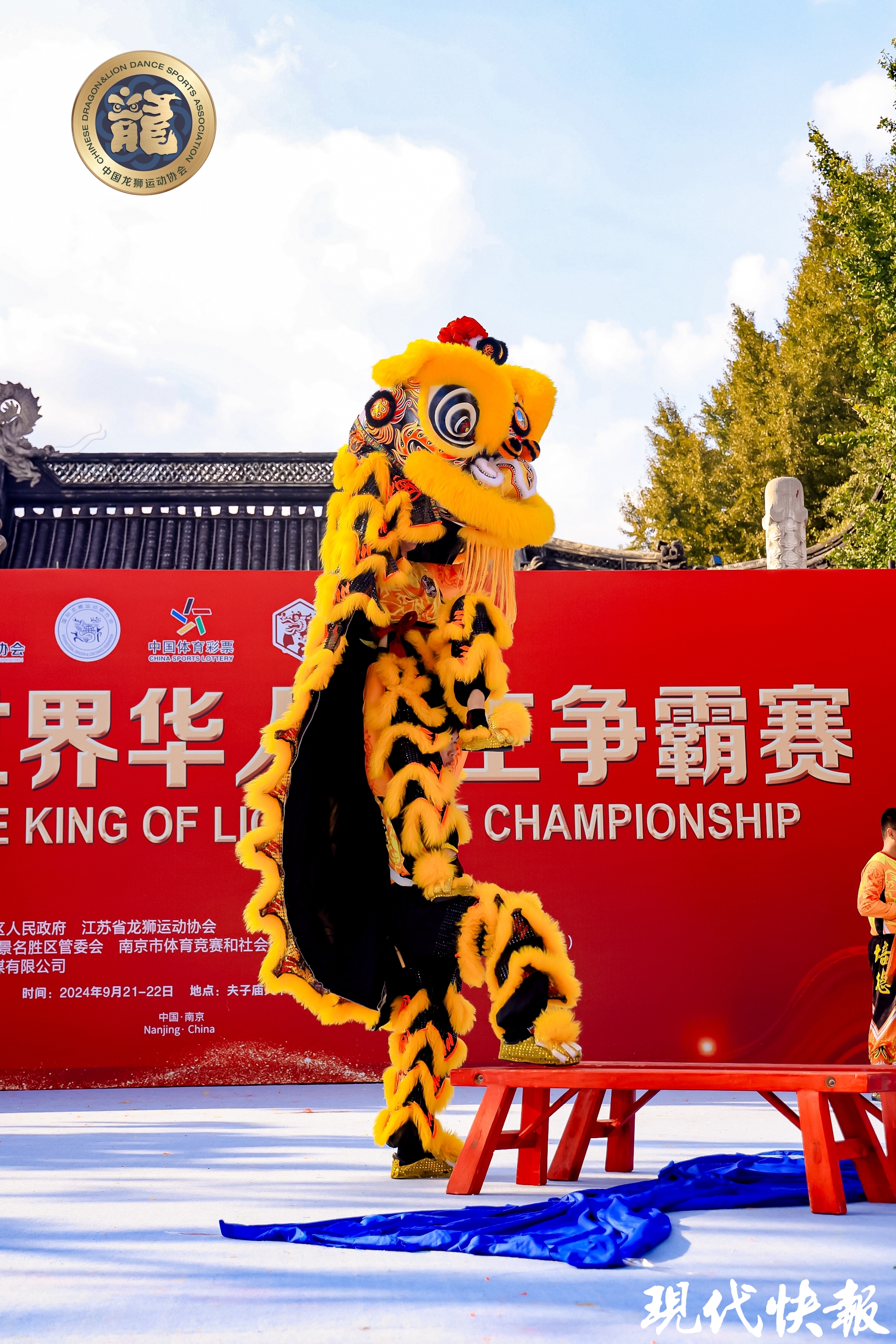 世界狮王争霸赛！藤县队技压群雄霸气夺冠！狮王一出谁与争锋(图1)