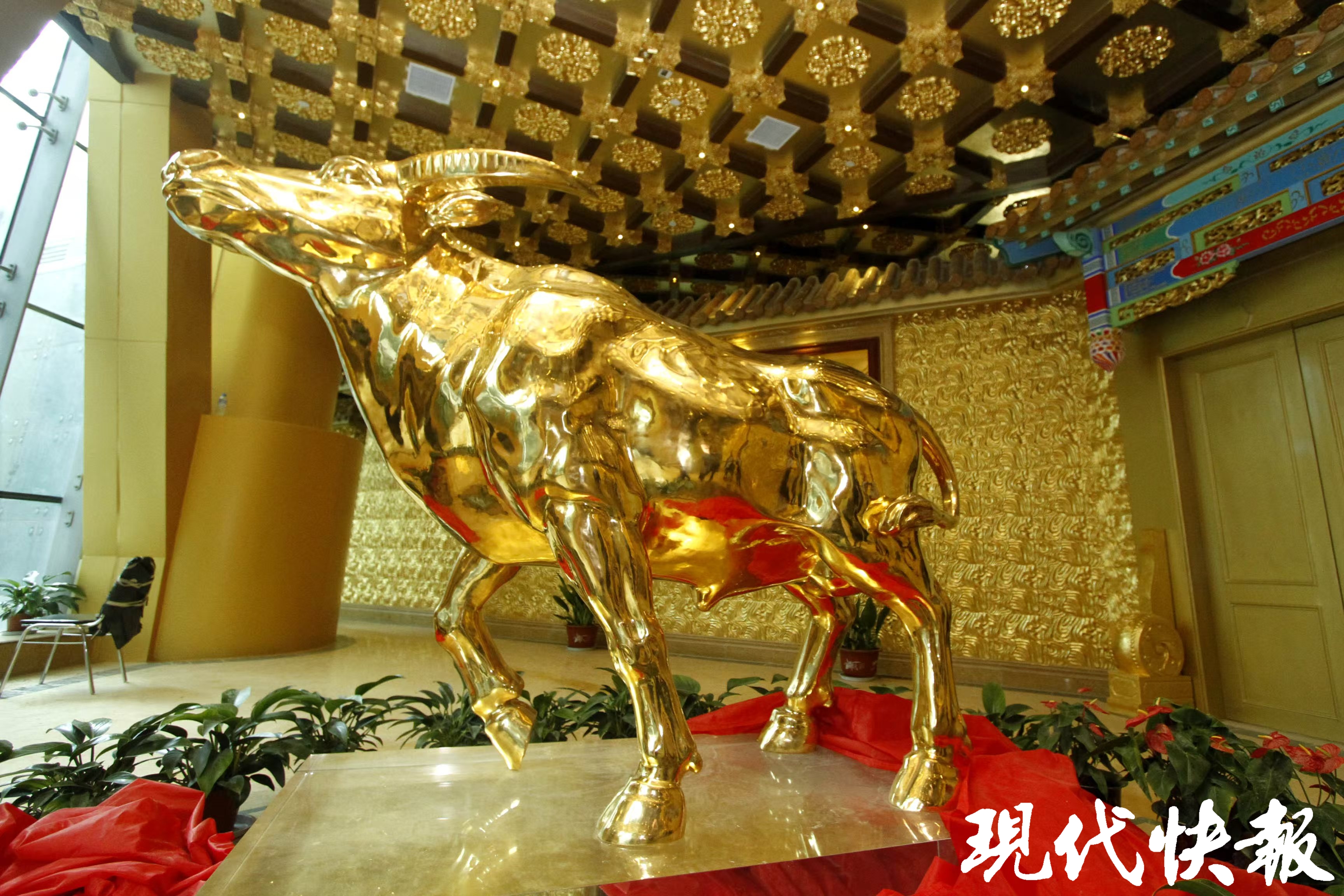 每月18日可免费看"华西大金牛"啦!2025华西文旅新品发布