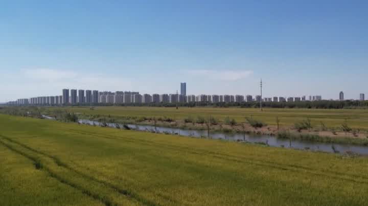 QQ截圖20250813114801.jpg