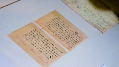 《陶家齐日记》翻拍。南京日报/紫金山新闻记者 孟勃翰 邢飞月 摄