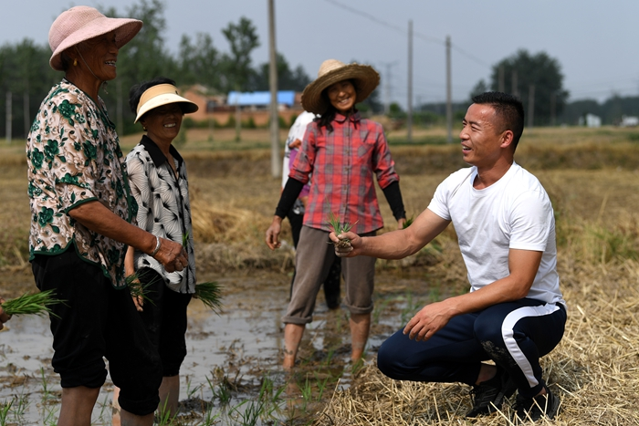 “三夏”时节戴虎在田间与村民们交流。受访者供图