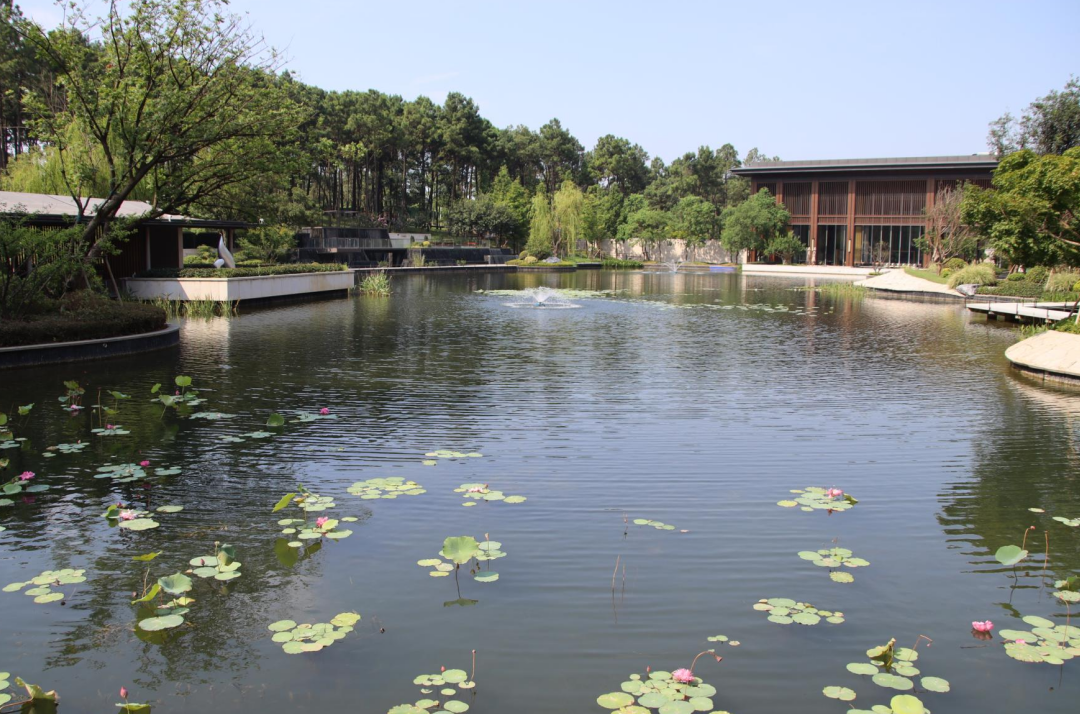 新春走基层│江苏南京：“养老”变“享老”银发绽芳华(图3)