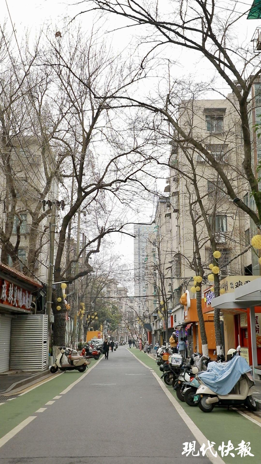 365体育唯一入口：新春走基层｜南京“真香”的蓁巷更新如何而来？记者体验社区规划师的“厘米级”勘探(图1)