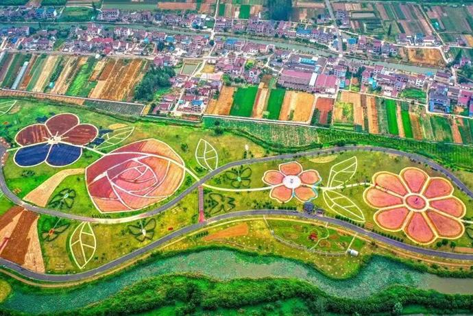 南京栖霞“八卦洲短剧岛”